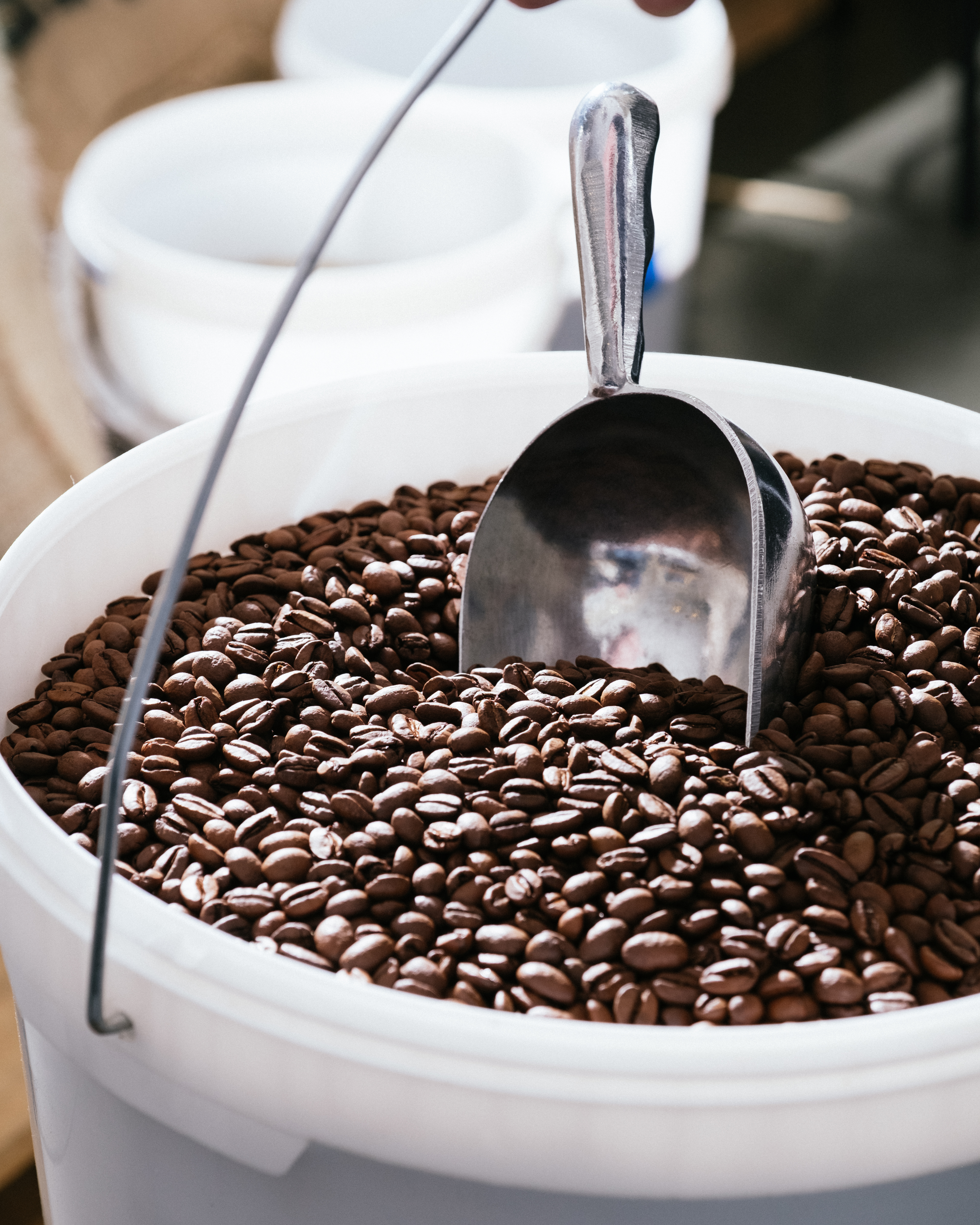Une pelle dans un sceau rempli de grains de café
