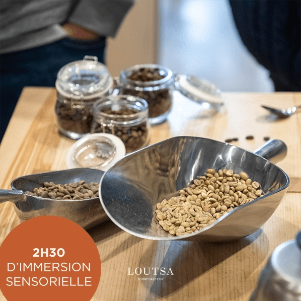 ATELIER 5 Sens PARIS - LOUTSA Torréfacteur