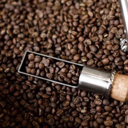 ATELIER Machine à grain PARIS - LOUTSA Torréfacteur