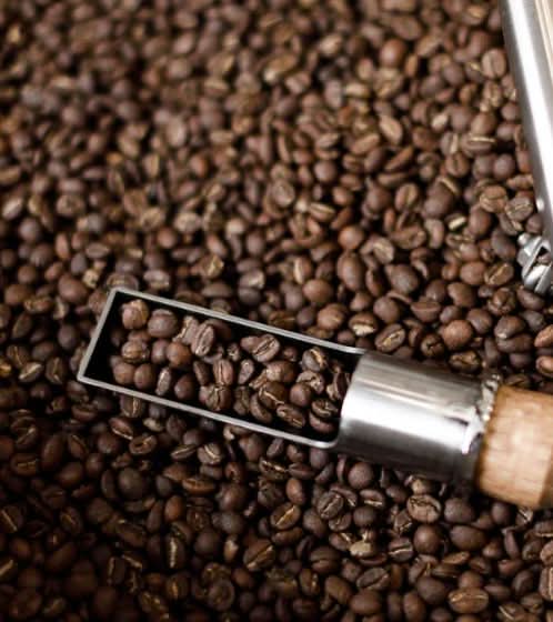 ATELIER Torréfaction PARIS - LOUTSA Torréfacteur