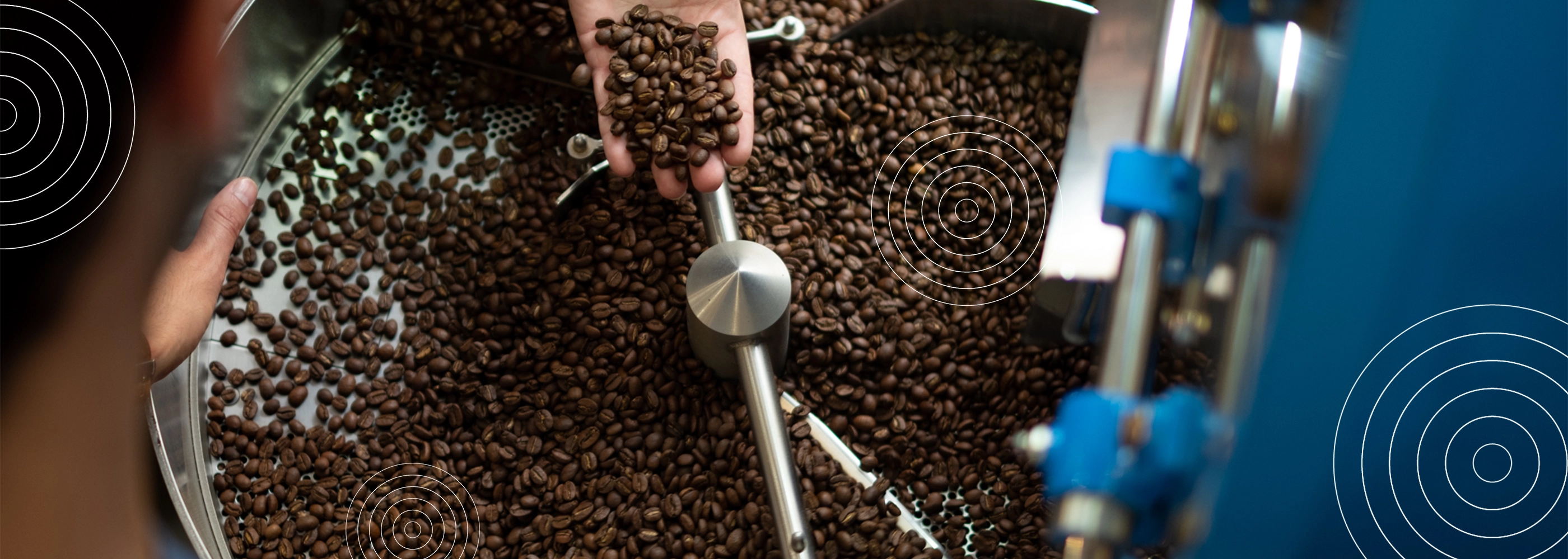 Grains de café fraîchement torréfiés dans une machine de torréfaction artisanale, une main les examine pour contrôler leur qualité.