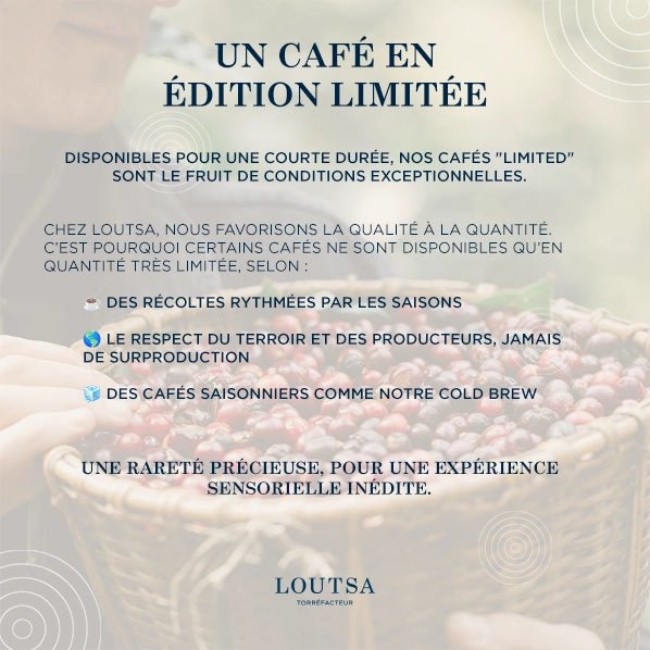 Café ETHIOPIE SEDI LOYA - LOUTSA Torréfacteur
