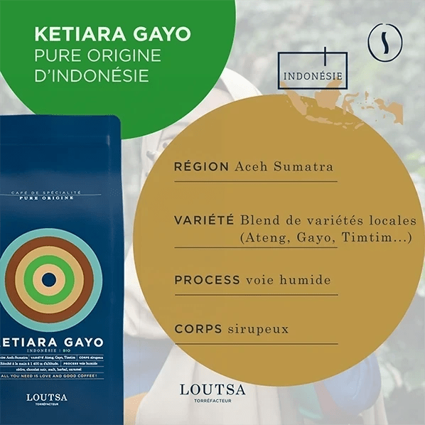 Café grain EXPRESSO TRIO - LOUTSA Torréfacteur