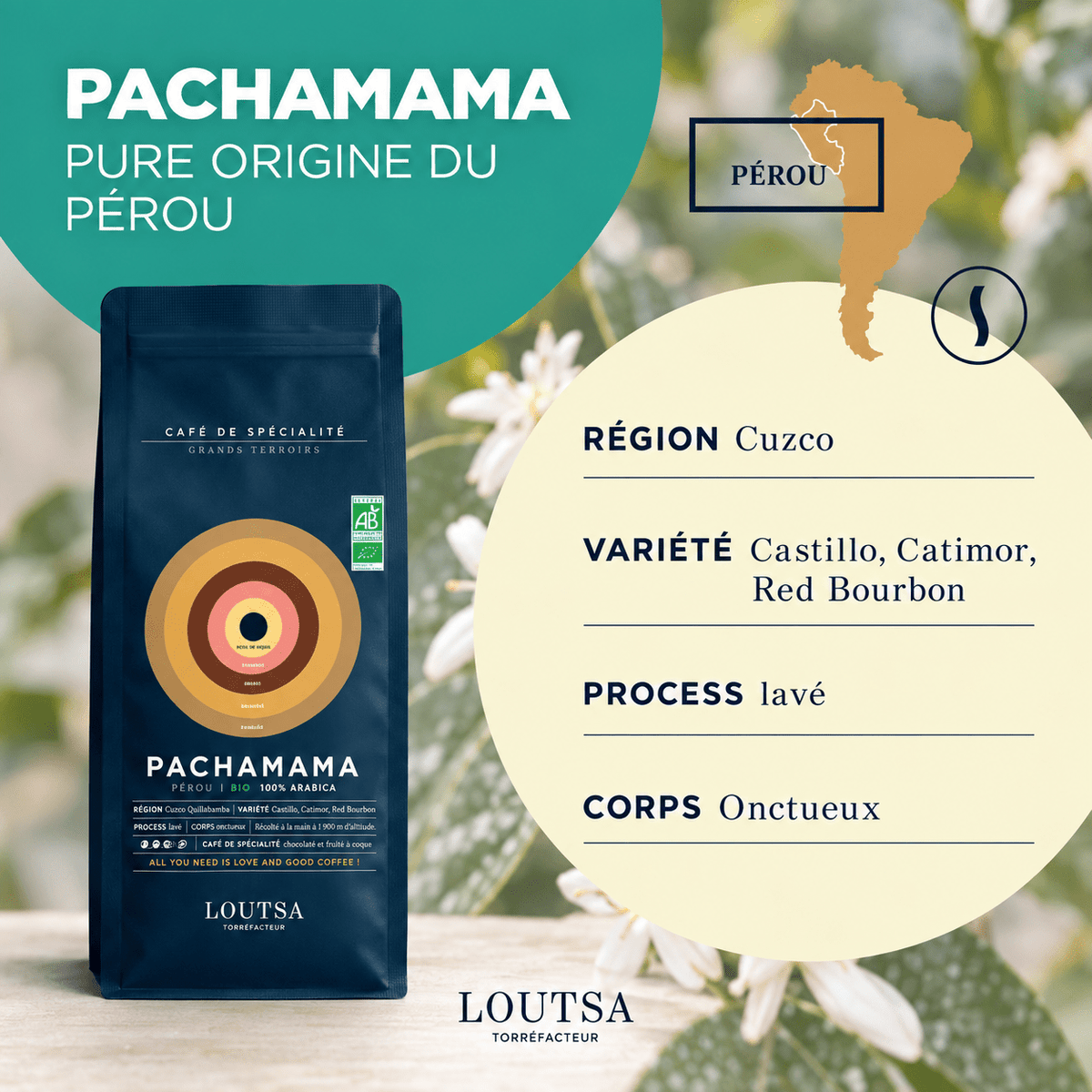 CAFÉ GRAIN EXPRESSO TRIO - LOUTSA Torréfacteur