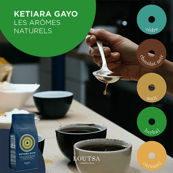 Café grain EXPRESSO TRIO - LOUTSA Torréfacteur