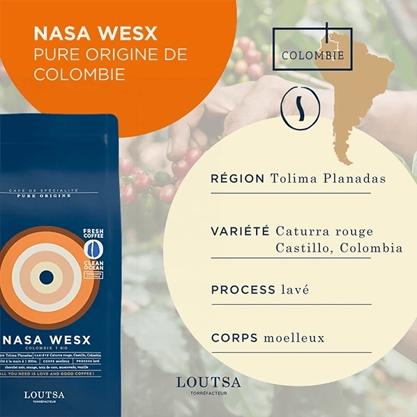 Café grain EXPRESSO TRIO - LOUTSA Torréfacteur