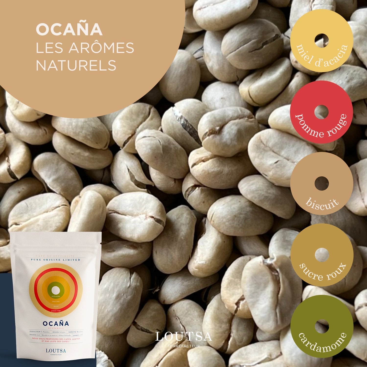 Café Guatemala OCANA - LOUTSA Torréfacteur