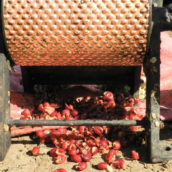Café ITALIAN ROAST BIO. - LOUTSA Torréfacteur