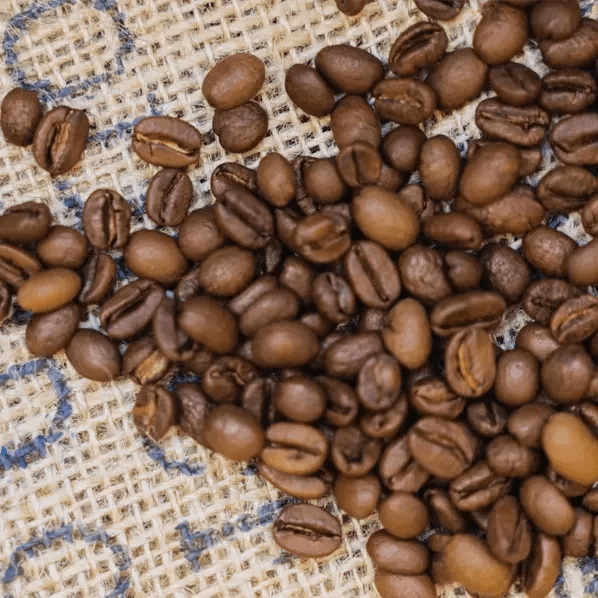 Café Solidaire OCTOBRE ROSE - LOUTSA Torréfacteur