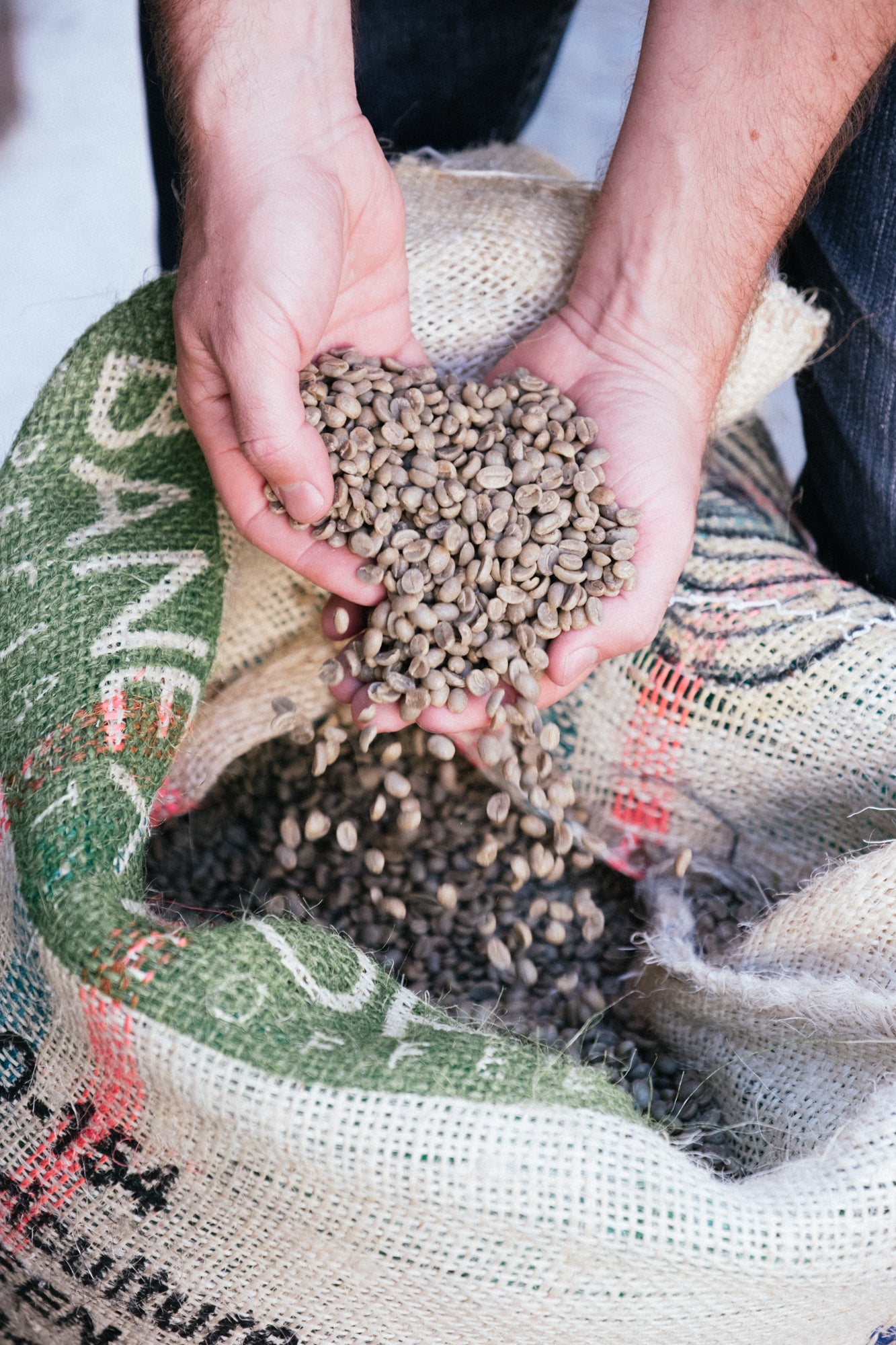 deux mains laissant du café vert dans un sac en toile de jute