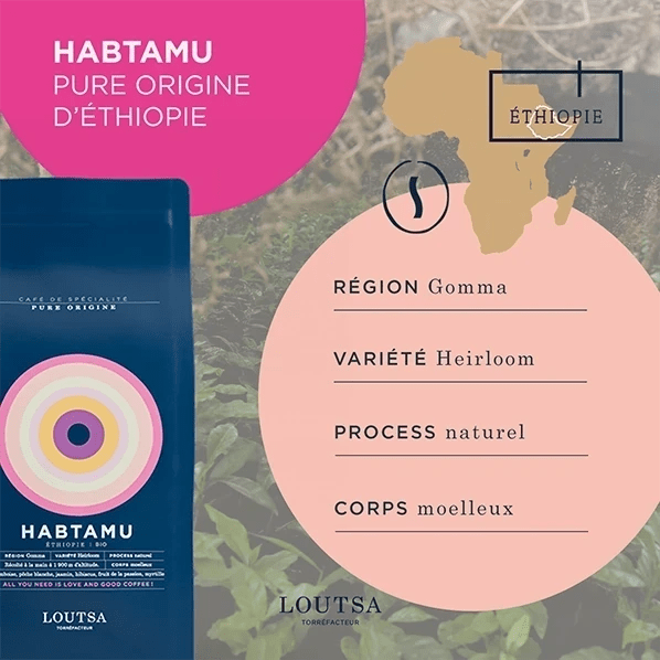 COFFRET GASTRONOMIQUE - LOUTSA Torréfacteur