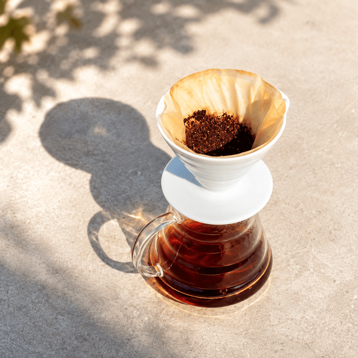 HARIO PORTE FILTRE V60 - LOUTSA Torréfacteur