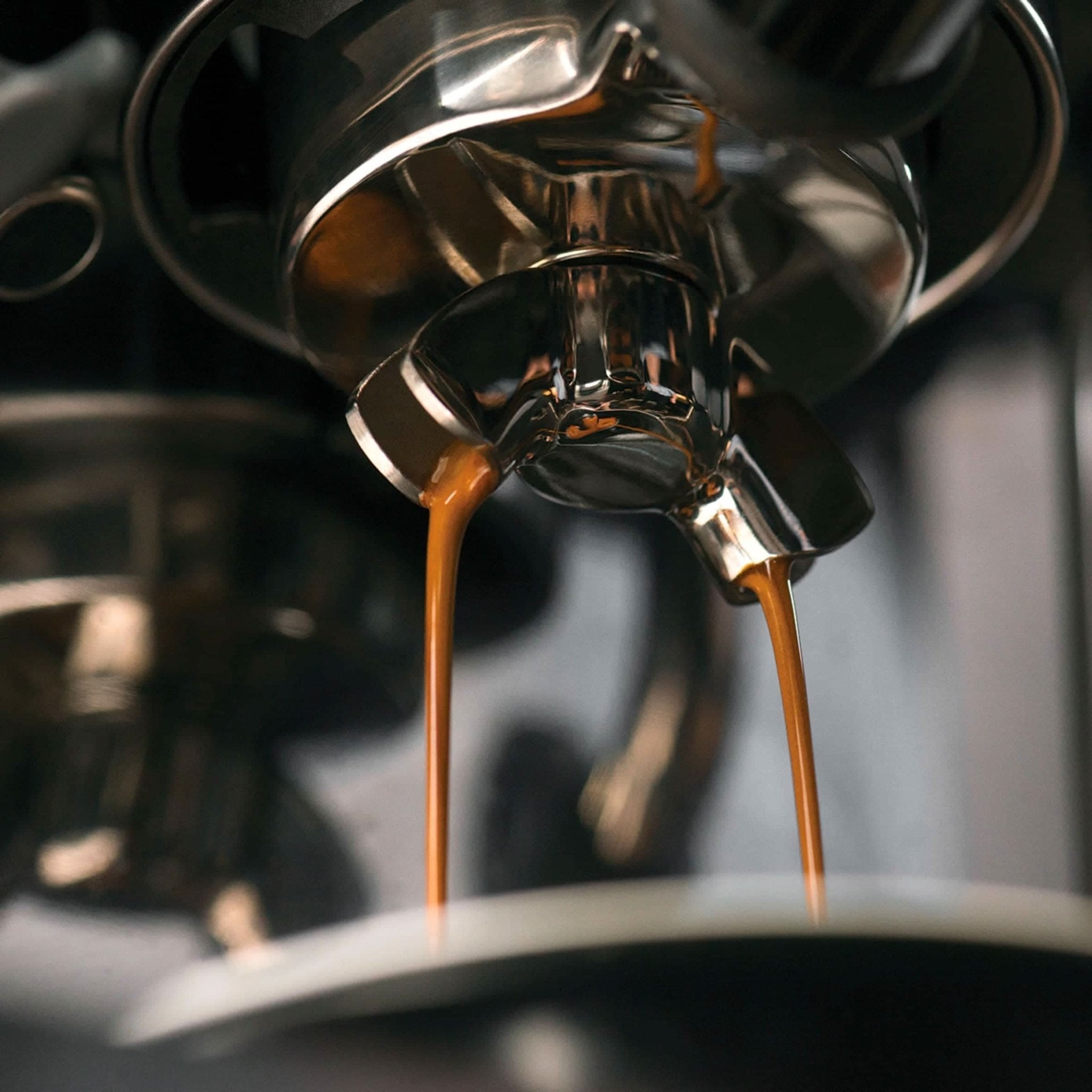 SAGE BARISTA TOUCH - LOUTSA Torréfacteur