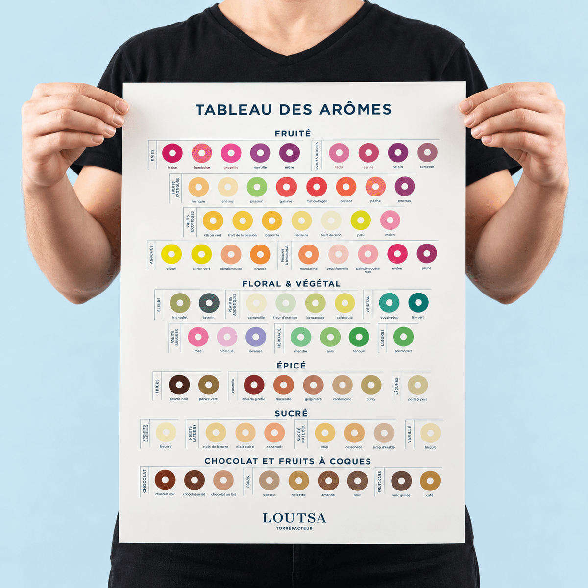 TABLEAU DES AROMES LOUTSA - LOUTSA Torréfacteur