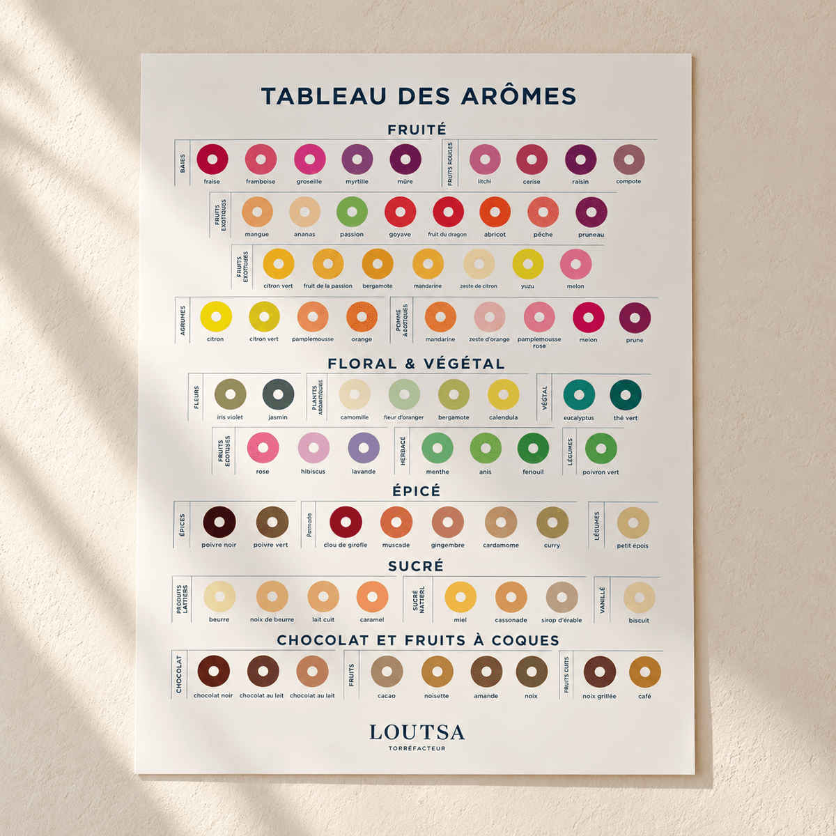 TABLEAU DES AROMES LOUTSA - LOUTSA Torréfacteur