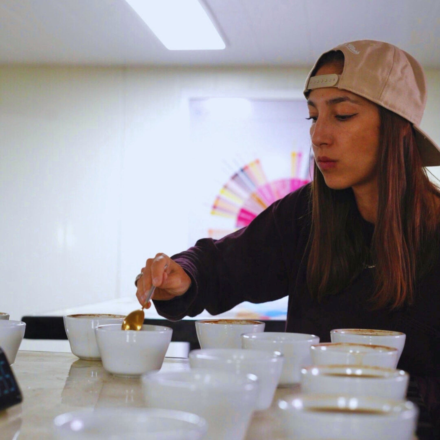 Vice World Champion Brewers Cup ATELIER - LOUTSA Torréfacteur