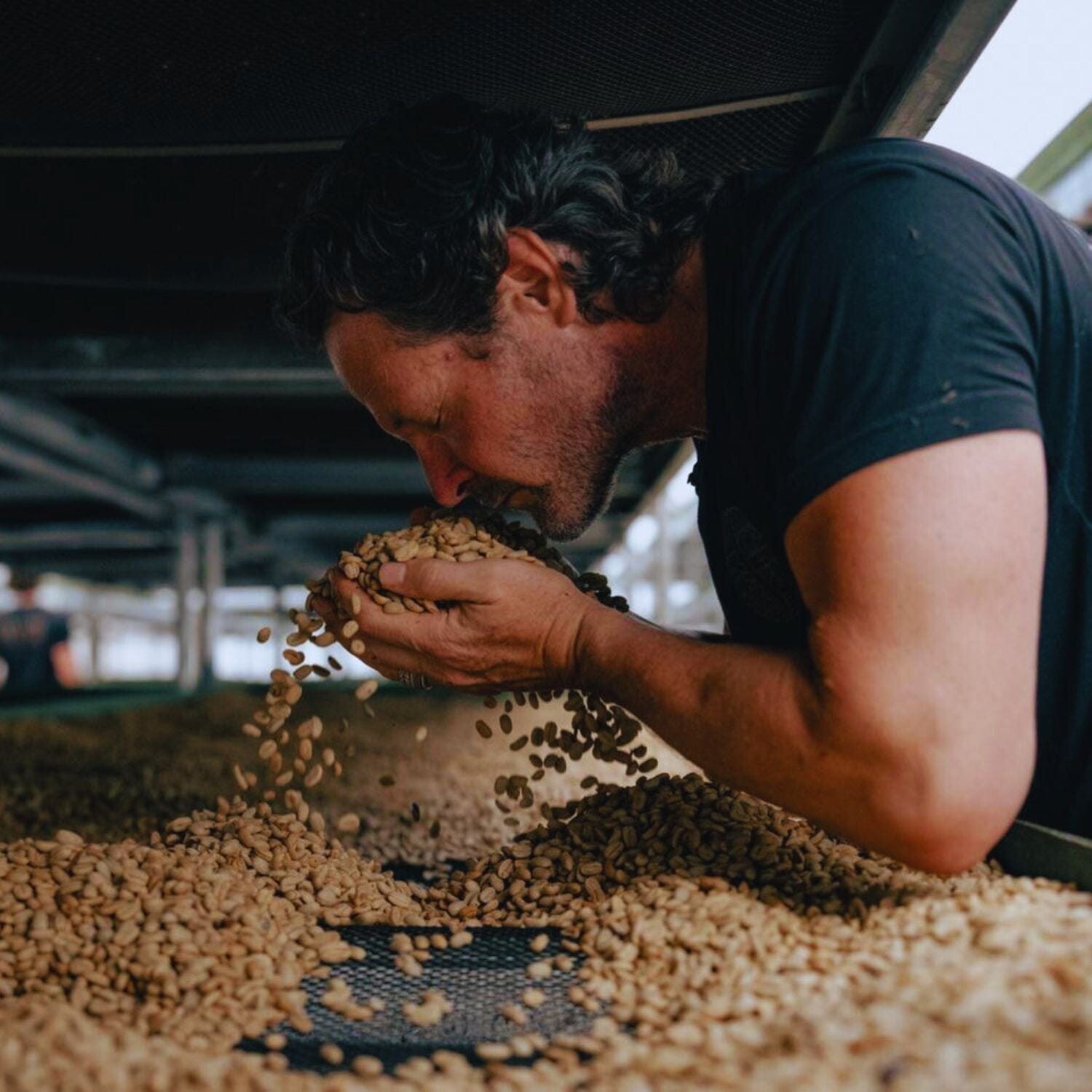 Vice World Champion Brewers Cup ATELIER - LOUTSA Torréfacteur