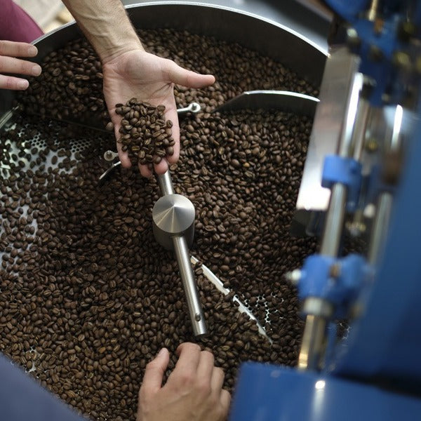 Comment bien choisir son café en grains ?