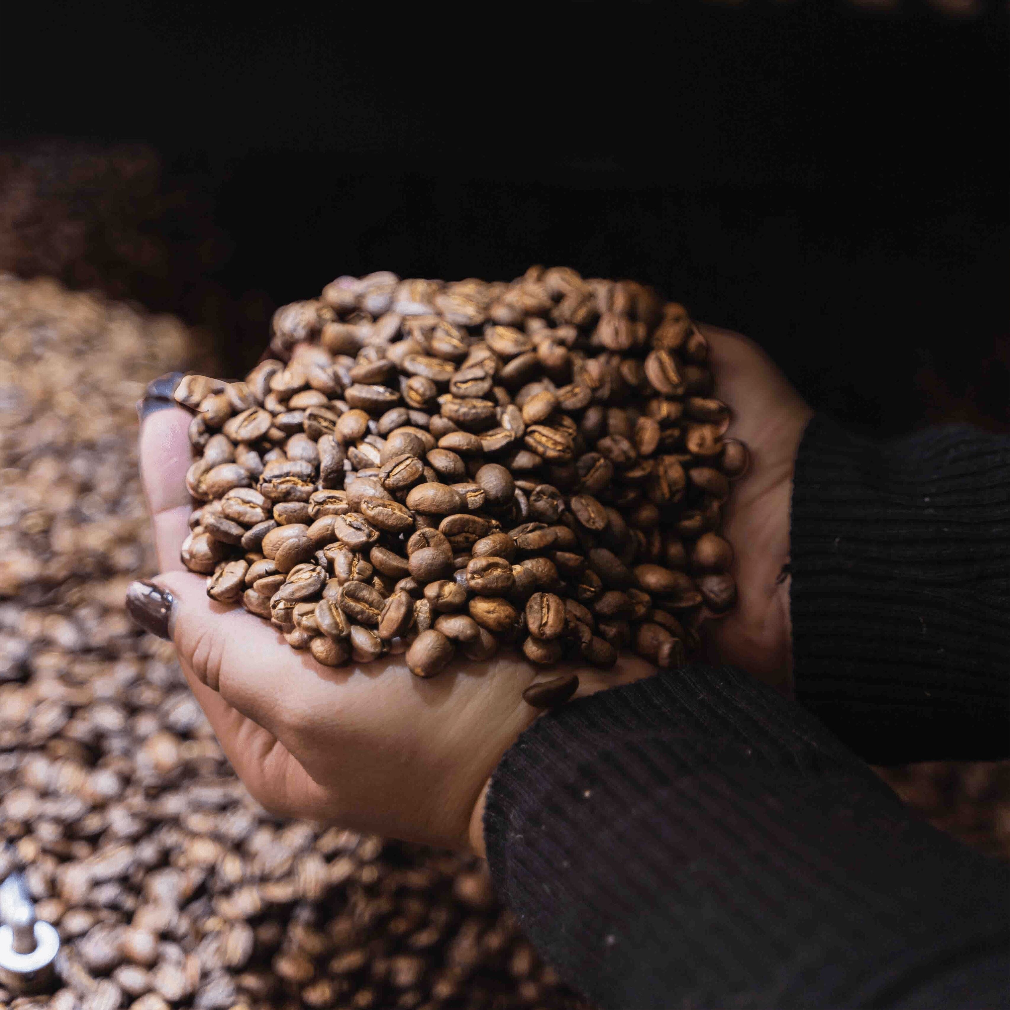Comment bien choisir son café : les signes qui ne trompent pas ! - LOUTSA Torréfacteur