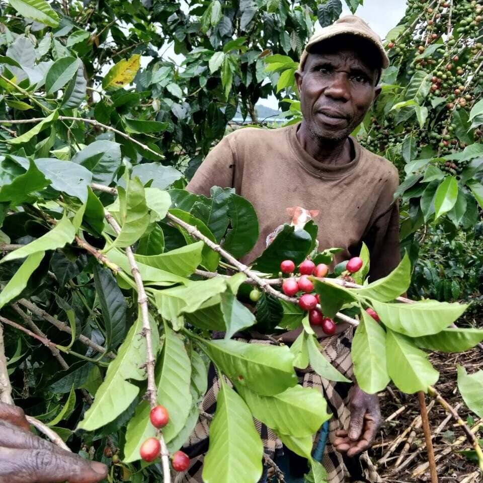 Des cafés engagés - LOUTSA Torréfacteur