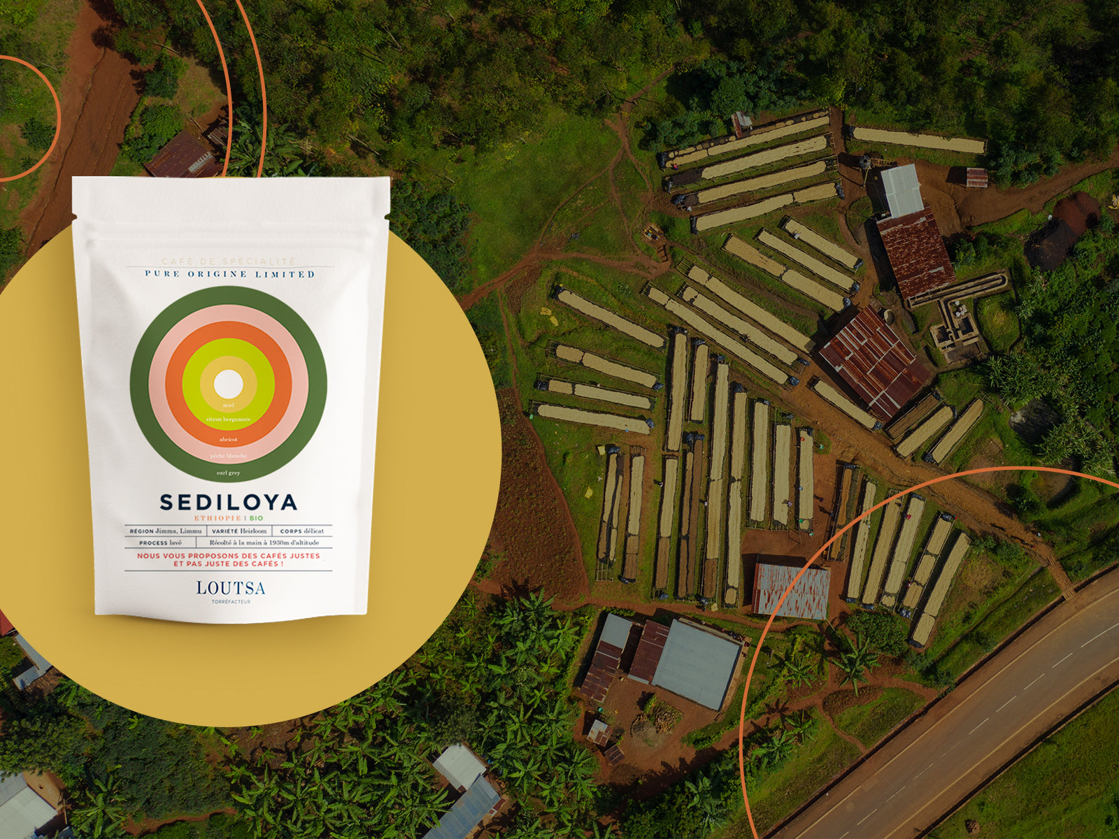 Sachet de café Loutsa d'ETHIOPIE, le Sediloya avec vue plantation