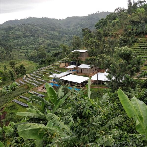 Café Rwanda BUGOYI CAFE GRAIN LOUTSA Torréfacteur 