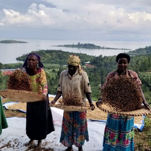 Café Rwanda BUGOYI CAFE GRAIN LOUTSA Torréfacteur 