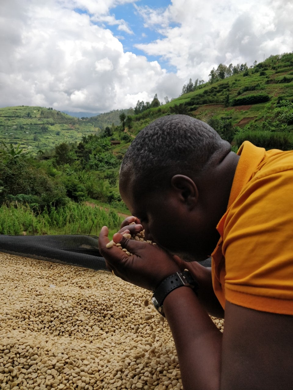 Emmanuel Rusatra, fondateur de la station de lavage MUZO, qui sent du grain vert entre ses mains en pleine nature