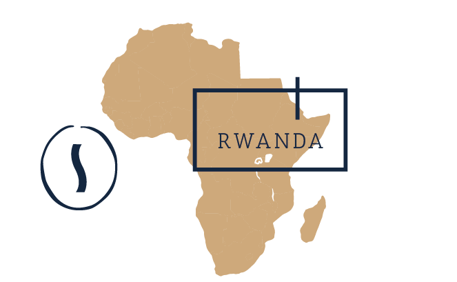 comparaison matcha anatae