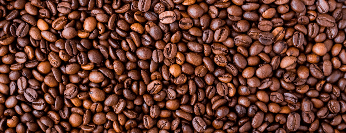 Comment conserver son café en grain?