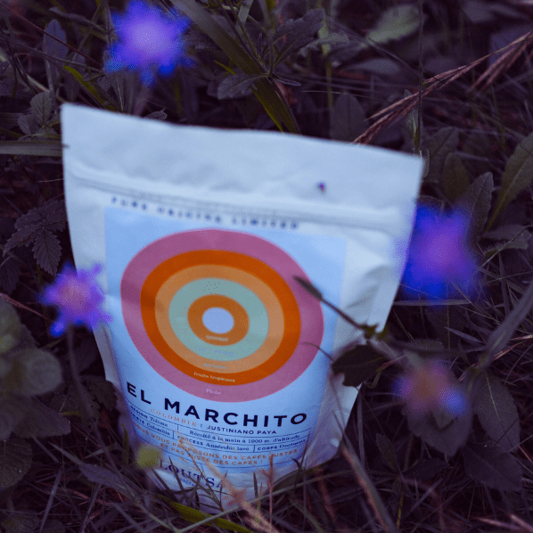 Café Colombie EL MARCHITO - LOUTSA Torréfacteur