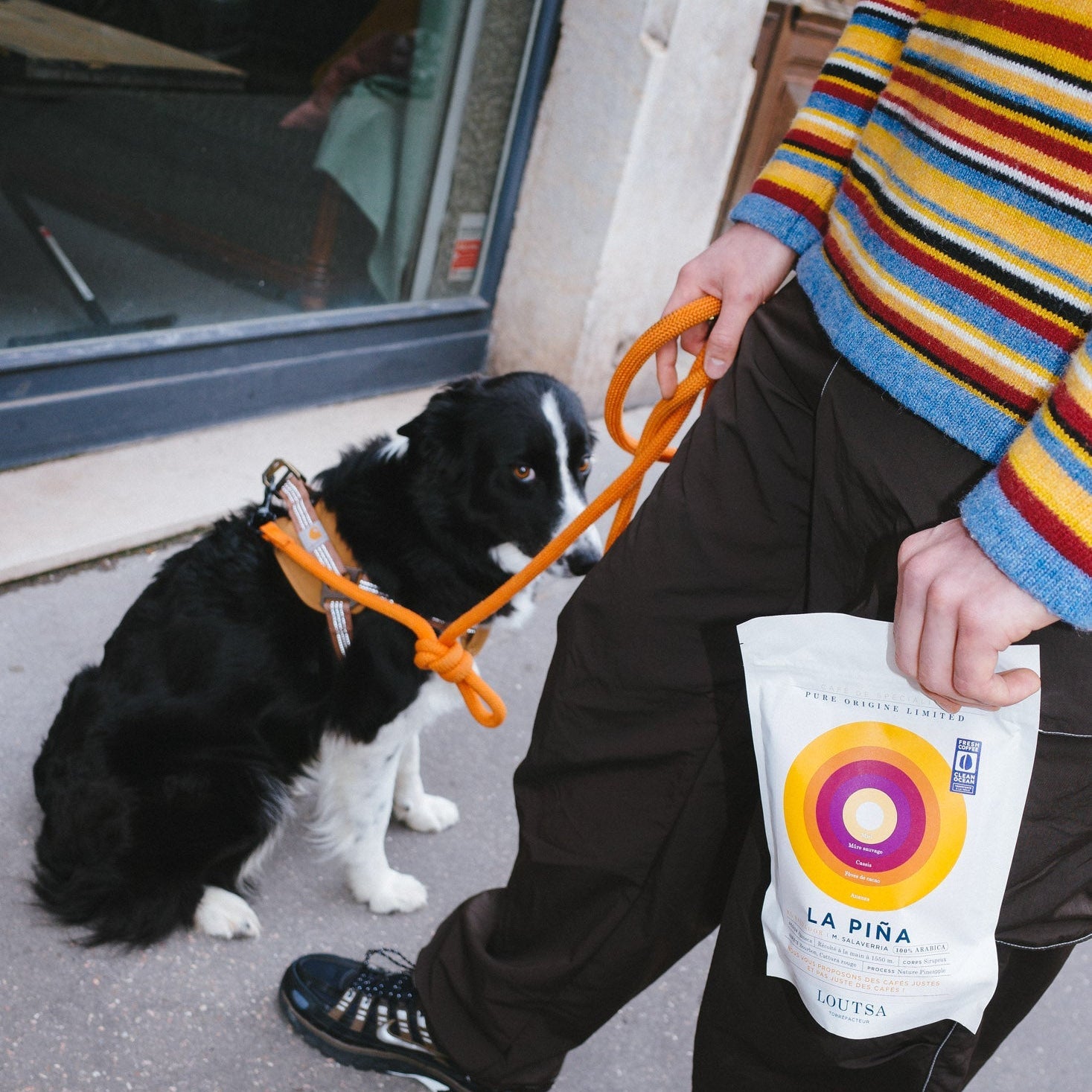 Café SALVADOR LA PINA - LOUTSA Torréfacteur