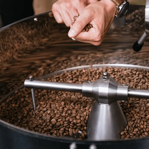 Café Solidaire Movember - LOUTSA Torréfacteur