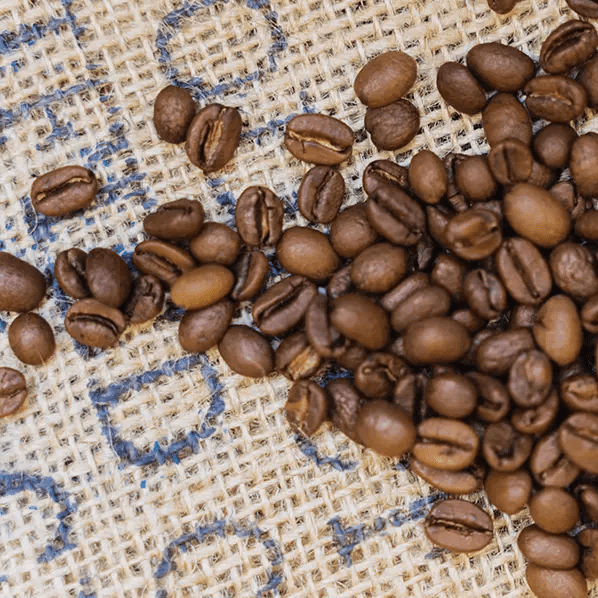 Café Solidaire Movember - LOUTSA Torréfacteur