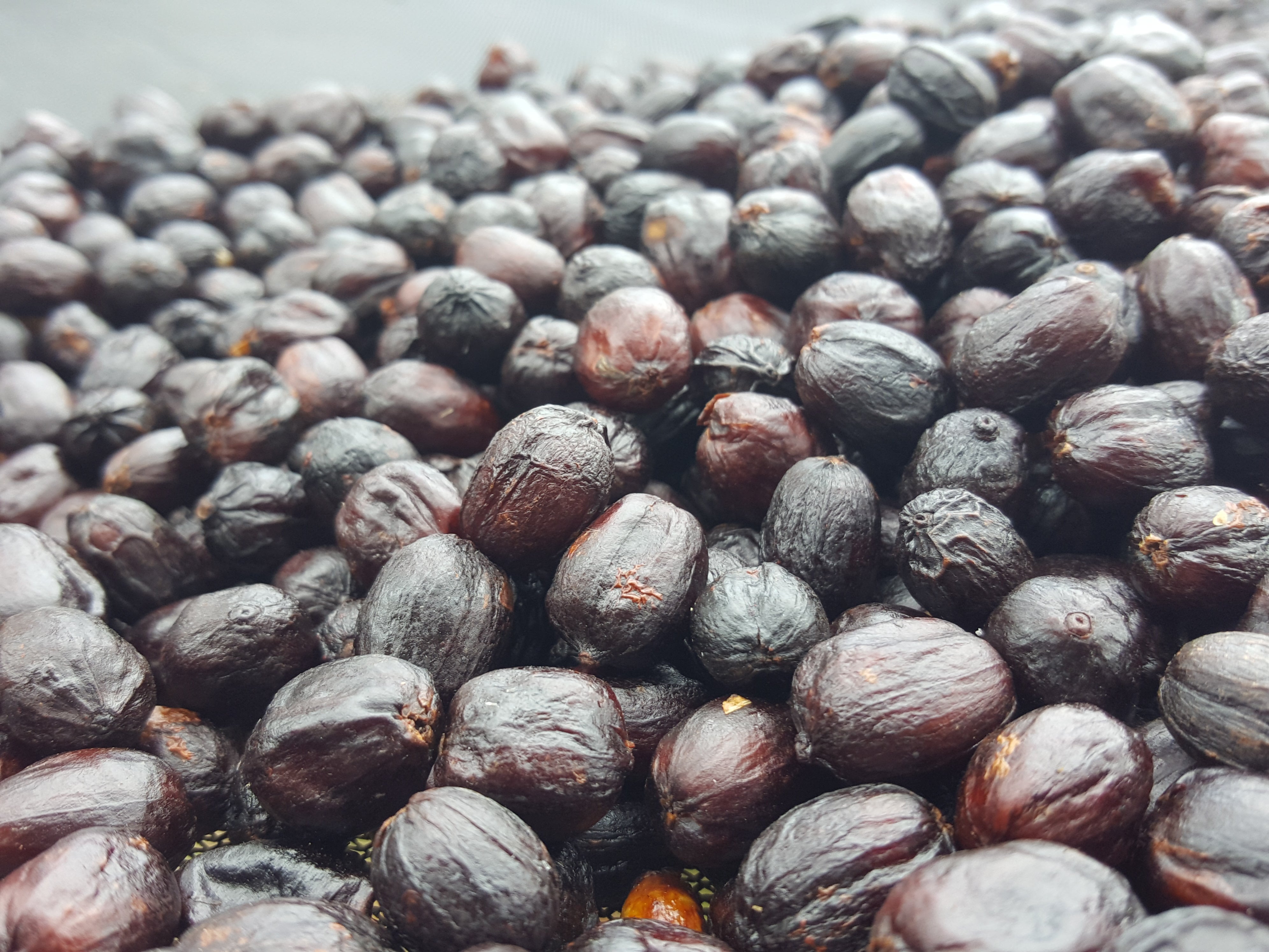 gros plan sur des cerises de café entières 