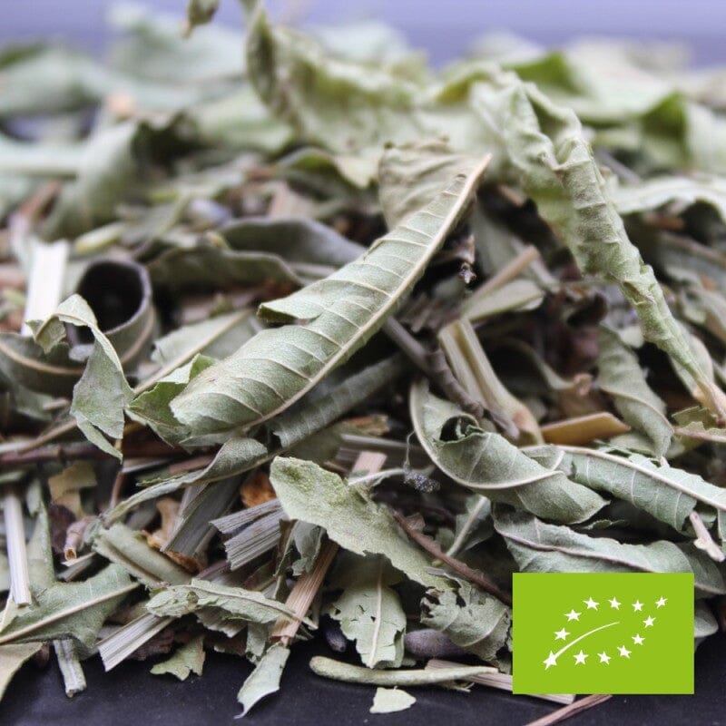 INFUSION Thym Citron Romarin THE ET INFUSIONS FBKT 