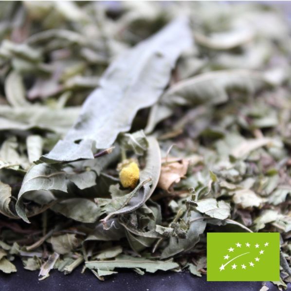 INFUSION Verveine Menthe THE ET INFUSIONS FBKT 