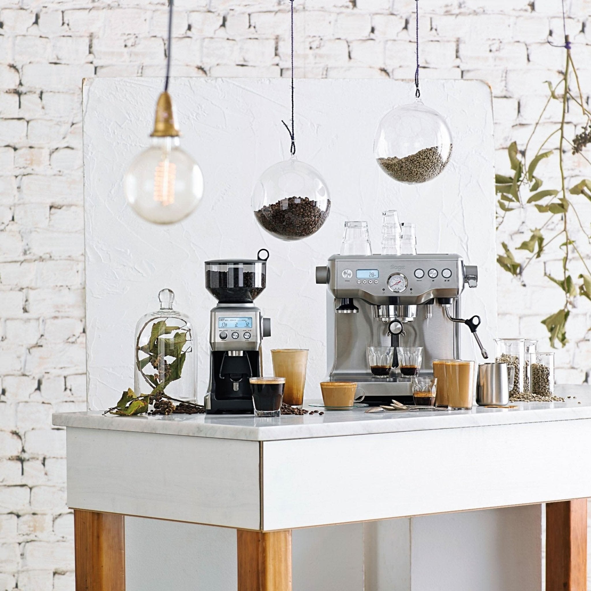 SAGE DUAL BOILER - LOUTSA Torréfacteur