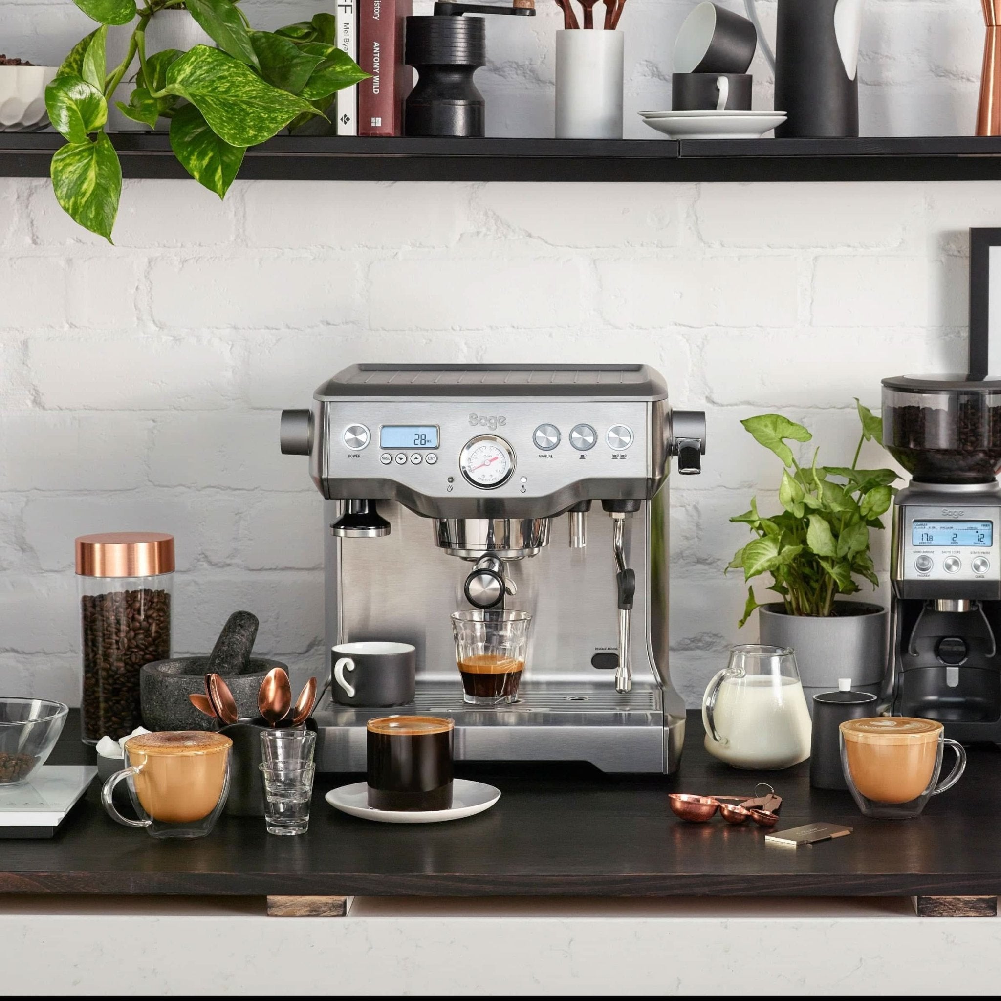 SAGE DUAL BOILER - LOUTSA Torréfacteur